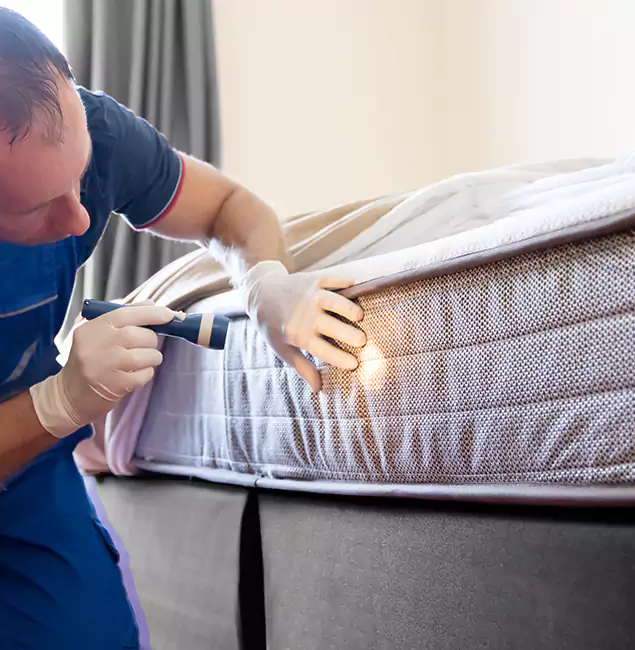 Why Choose Oakton Pest Control Pro for Bed Bug Services in Oakton, VA?