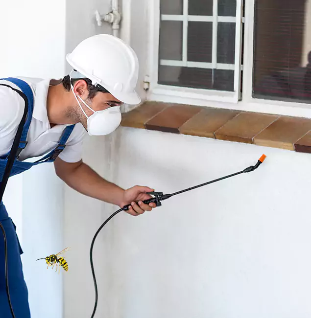 Why Oakton Property Owners Choose Oakton Pest Control Pro for Bee Nest Removal?