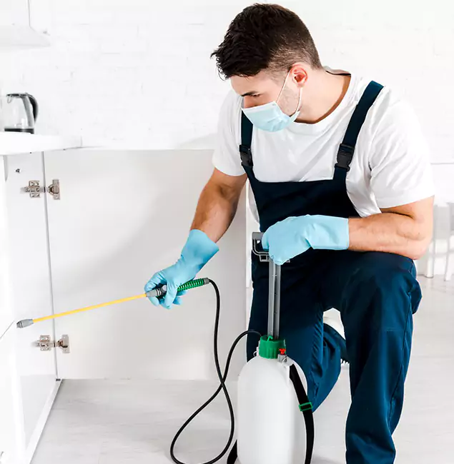 Why Choose Oakton Pest Control Pro for Emergency Pest Control in Oakton?