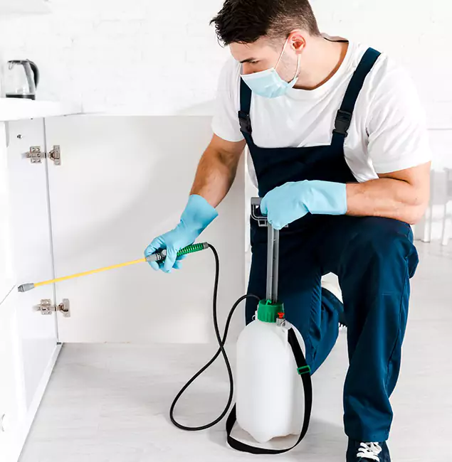 Why Oakton, VA Homeowners Trust Us for German Roach Control?