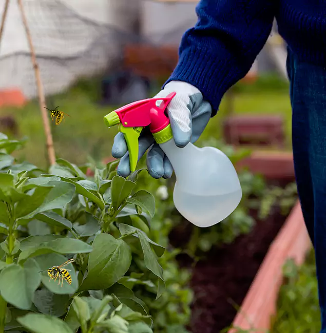 Why Oakton Homeowners Choose Oakton Pest Control Pro for Honey Bee Removal?