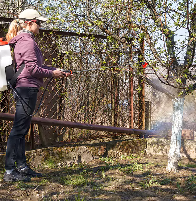 Why Oakton Homeowners Choose Oakton Pest Control Pro for Mosquito Abatement?