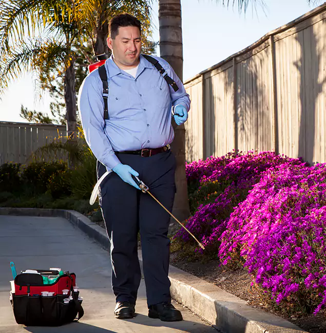 Why Choose Oakton Pest Control Pro in Oakton, VA?