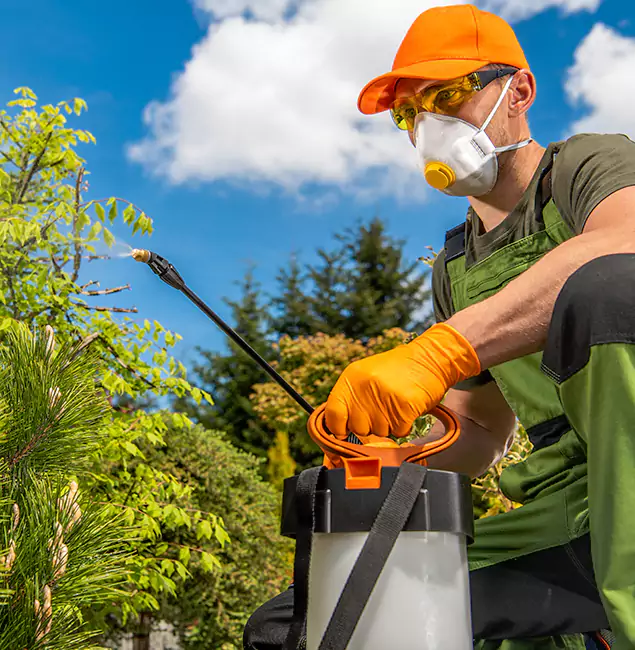 Why Choose Oakton Pest Control Pro for Outdoor Pest Control in Oakton, VA?