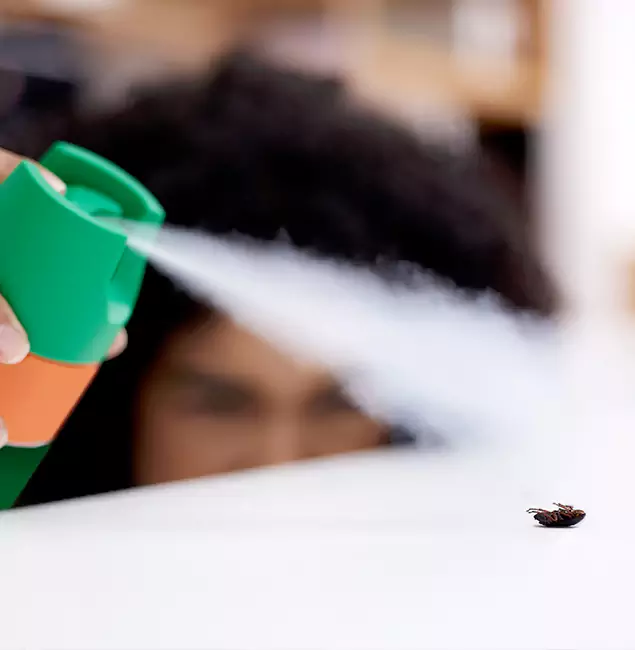 Why Oakton, VA Homeowners Choose Oakton Pest Control Pro for Roach Pest Control?