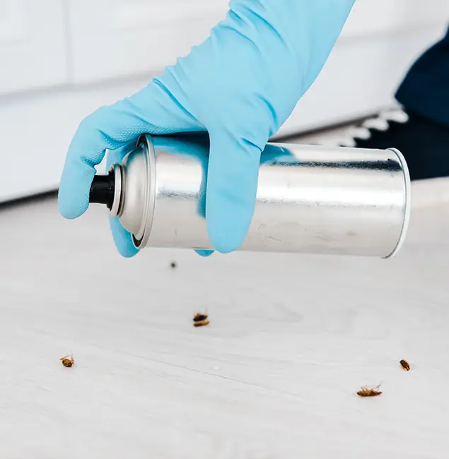 Why Choose Oakton Pest Control Pro for Safe Bed Bug Treatment in Oakton, VA?