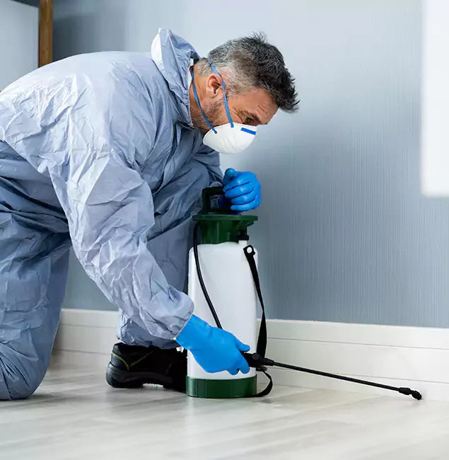 Why Choose Oakton Pest Control Pro for Subterranean Termites Treatment in Oakton, VA?
