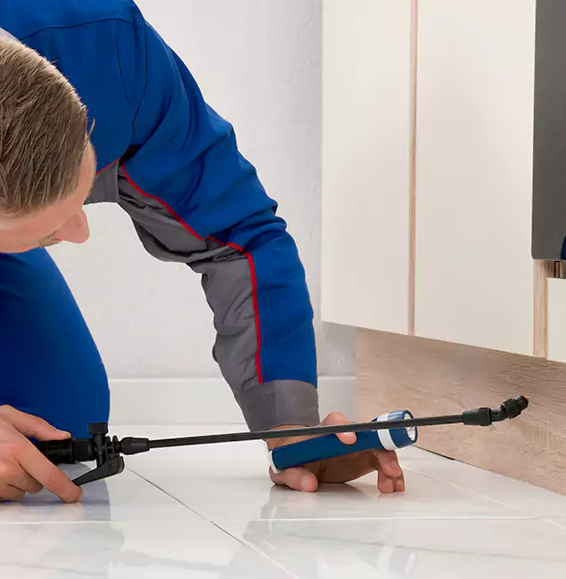 Why Oakton Residents Choose Oakton Pest Control Pro to Get Rid of Sugar Ants?