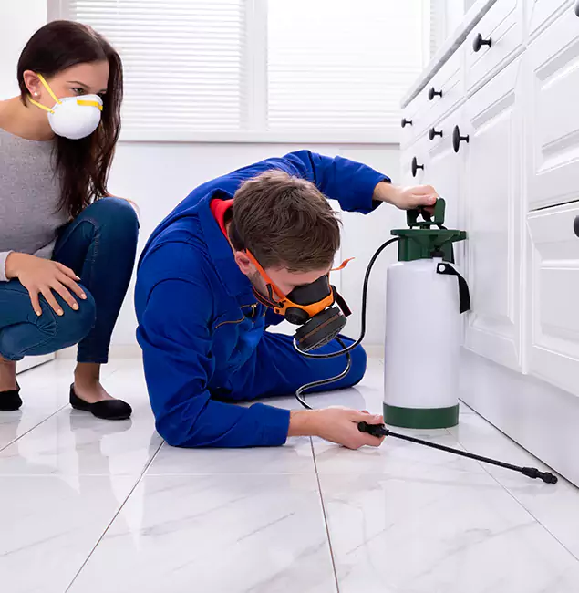 Why Choose Wood Termite Treatment by Oakton Pest Control Pro in Oakton, VA?