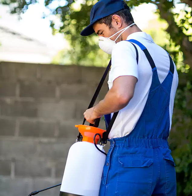 Why Oakton Pest Control Pro Is the Right Choice for Yellow Jacket Removal in Oakton, VA?