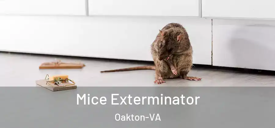 Mice Exterminator Oakton-VA