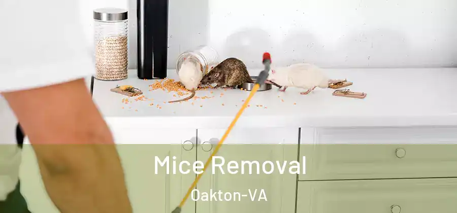 Mice Removal Oakton-VA