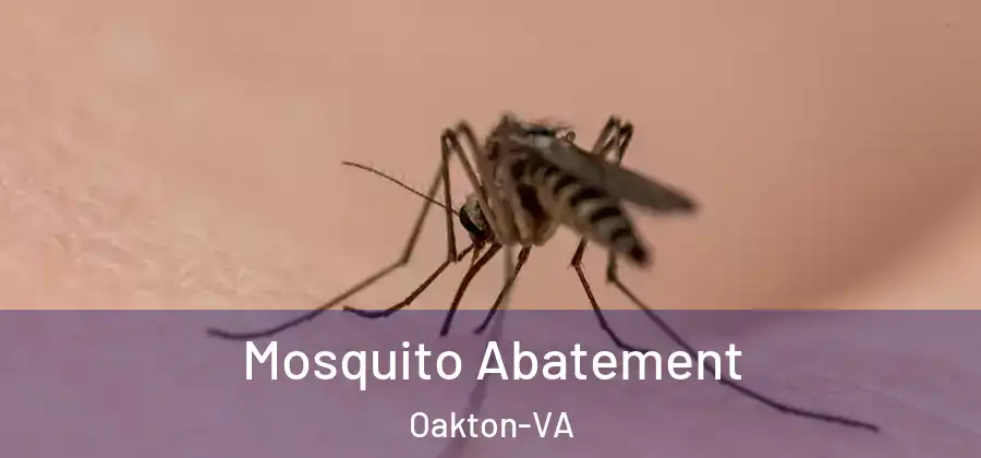 Mosquito Abatement Oakton-VA