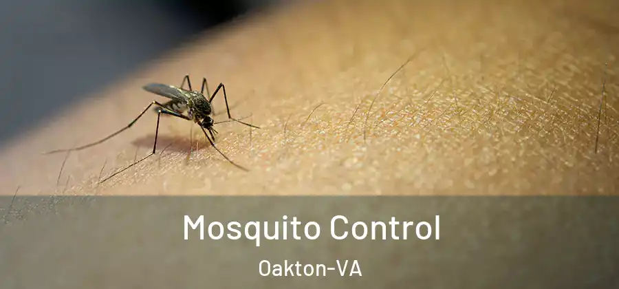  Mosquito Control Oakton-VA