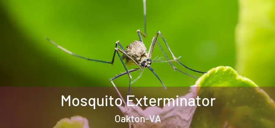 Mosquito Exterminator Oakton-VA