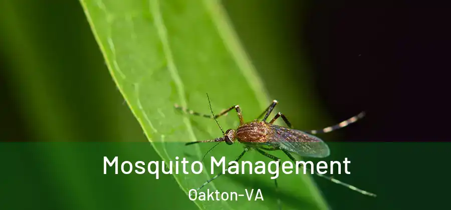 Mosquito Management Oakton-VA