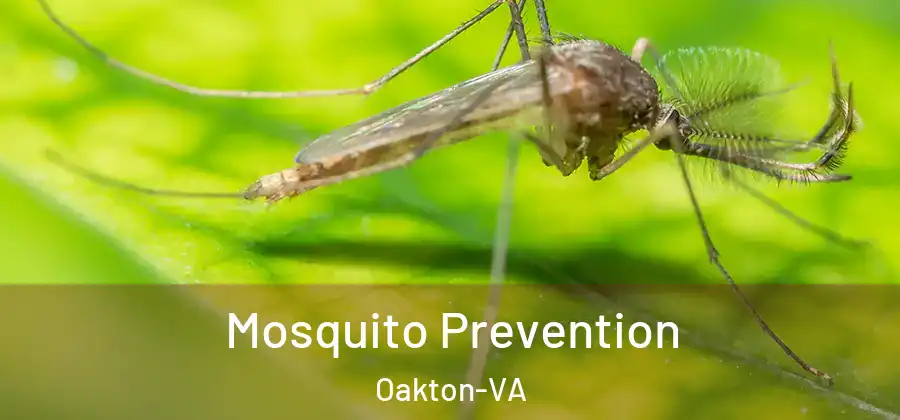  Mosquito Prevention Oakton-VA