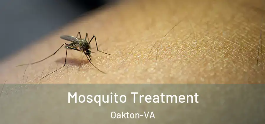Mosquito Treatment Oakton-VA
