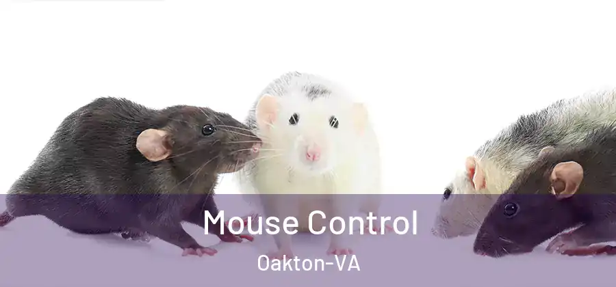 Mouse Control Oakton-VA