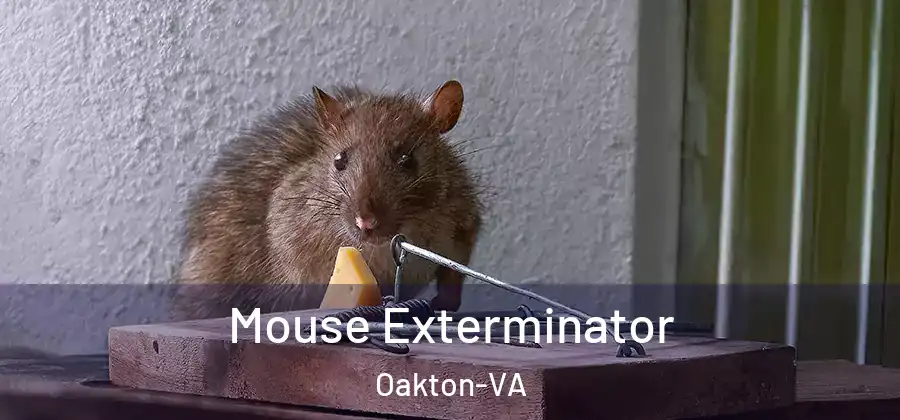 Mouse Exterminator Oakton-VA