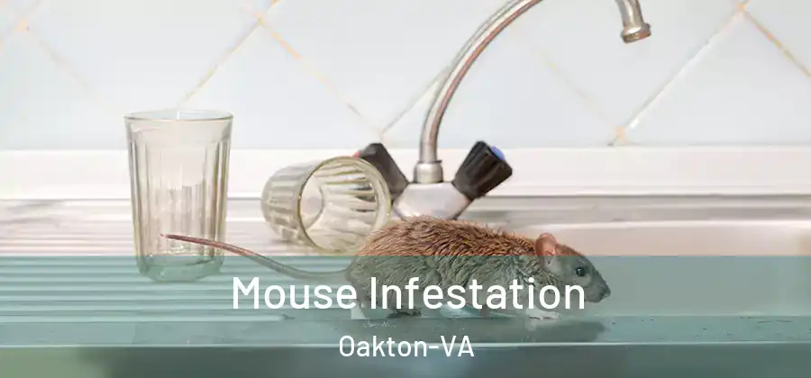 Mouse Infestation Oakton-VA