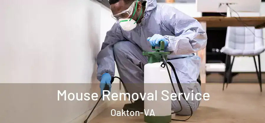Mouse Removal Service Oakton-VA