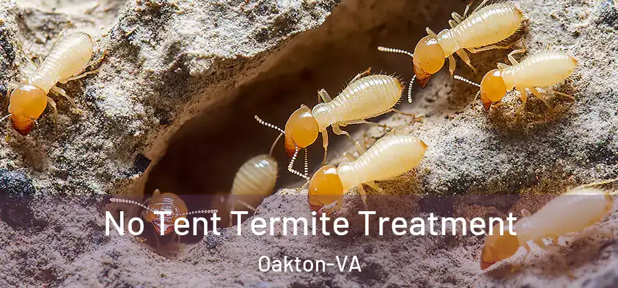 No Tent Termite Treatment Oakton-VA