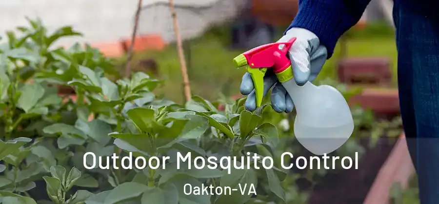  Outdoor Mosquito Control Oakton-VA