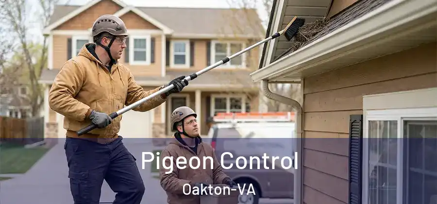  Pigeon Control Oakton-VA