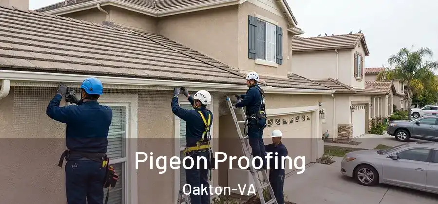 Pigeon Proofing Oakton-VA