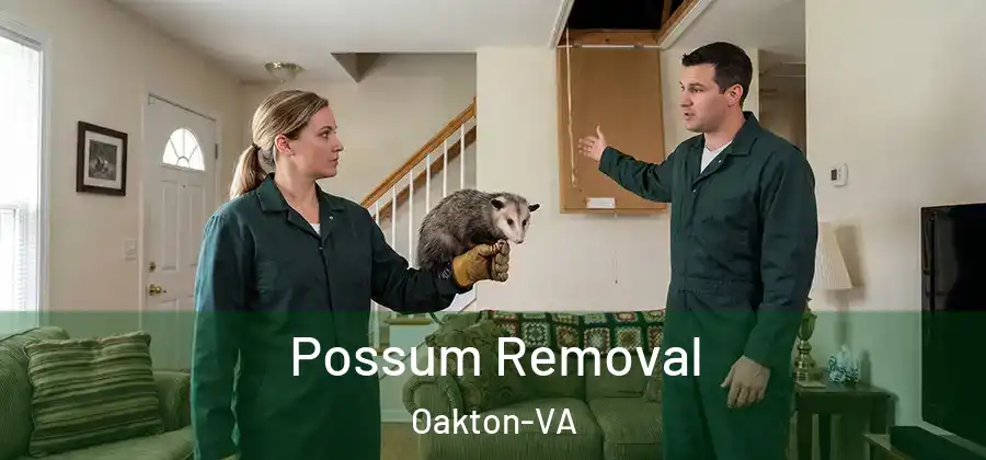 Possum Removal Oakton-VA