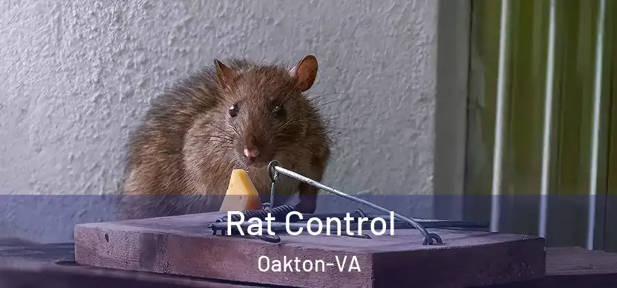 Rat Control Oakton-VA