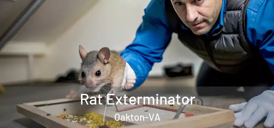 Rat Exterminator Oakton-VA