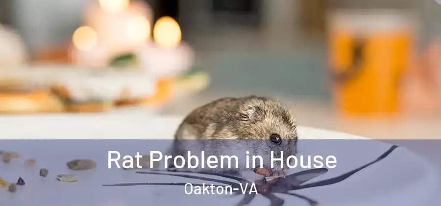 Rat Problem in House Oakton-VA