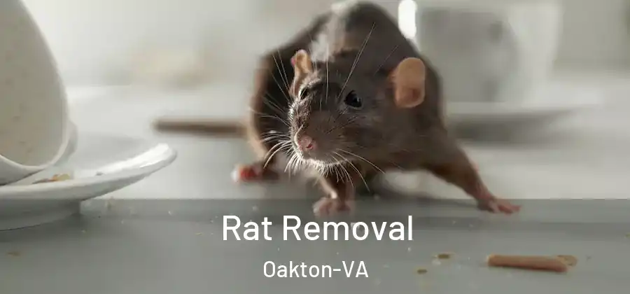  Rat Removal Oakton-VA