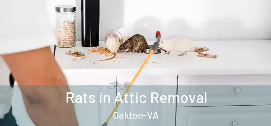 Rats in Attic Removal Oakton-VA