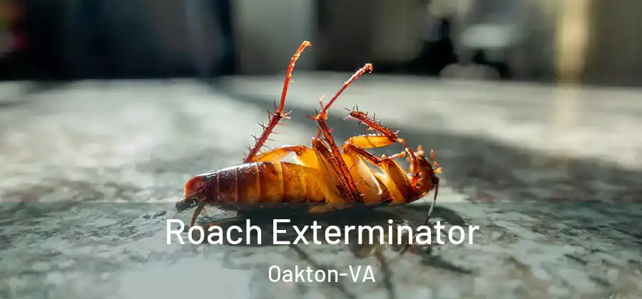 Roach Exterminator Oakton-VA