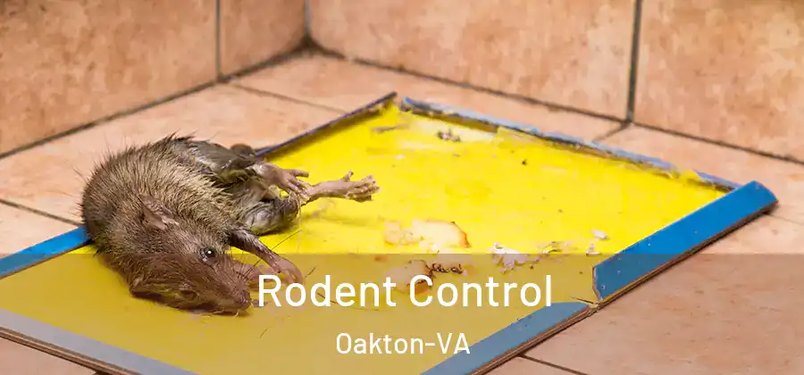 Rodent Control Oakton-VA