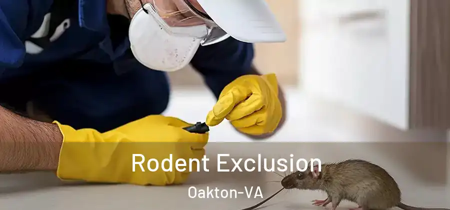 Rodent Exclusion Oakton-VA