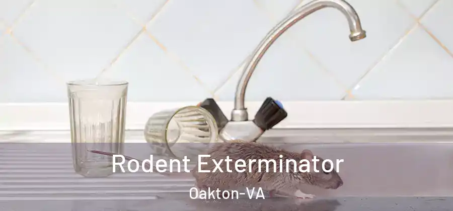 Rodent Exterminator Oakton-VA