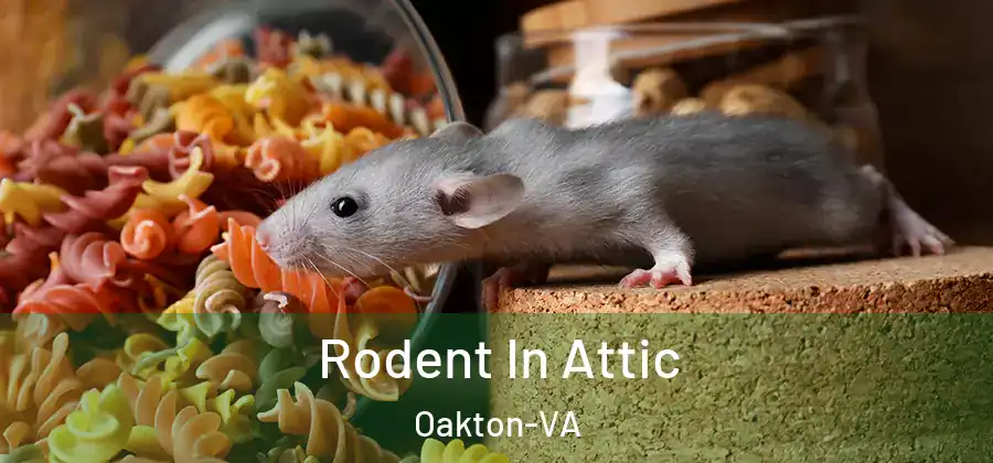 Rodent In Attic Oakton-VA
