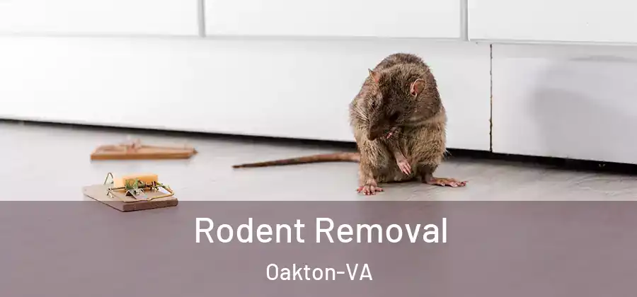 Rodent Removal Oakton-VA