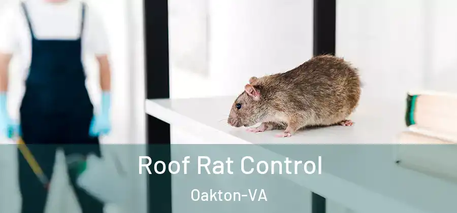 Roof Rat Control Oakton-VA
