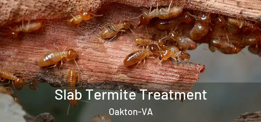  Slab Termite Treatment Oakton-VA
