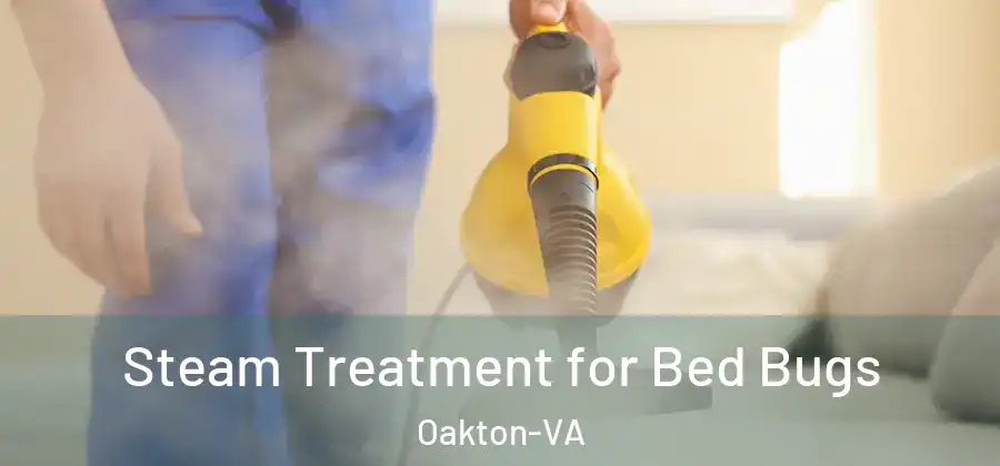 Steam Treatment for Bed Bugs Oakton-VA