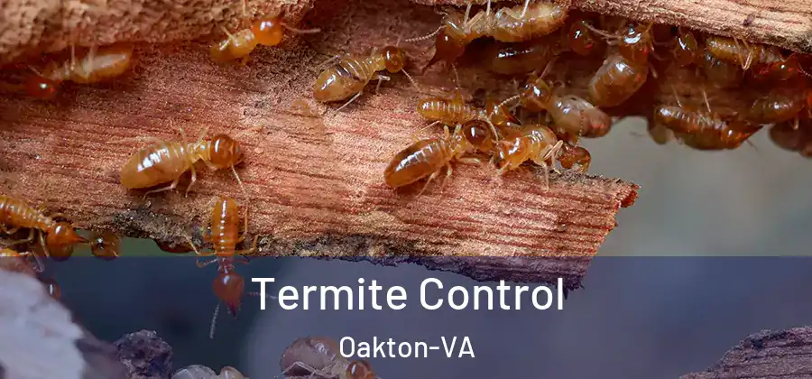 Termite Control Oakton-VA