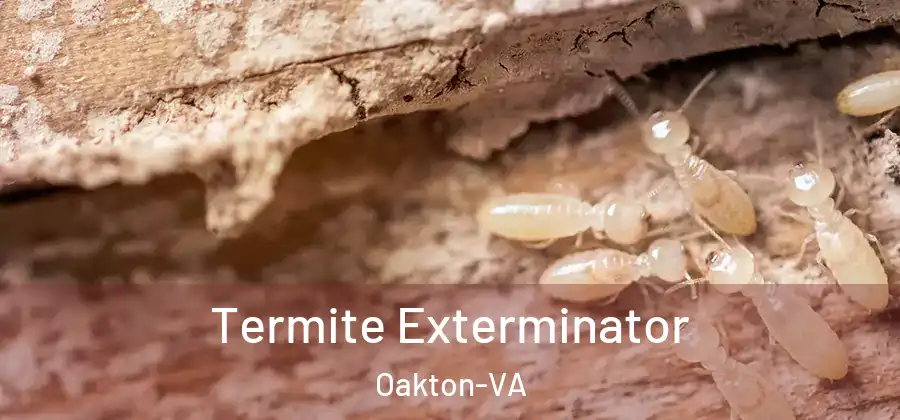 Termite Exterminator Oakton-VA