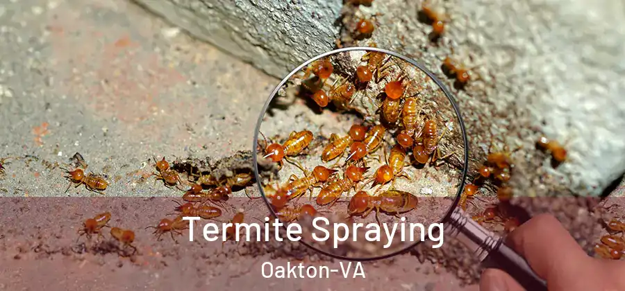 Termite Spraying Oakton-VA
