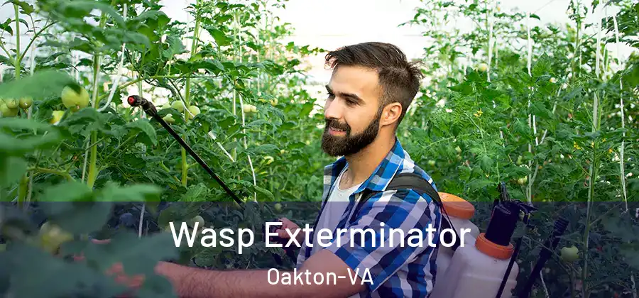 Wasp Exterminator Oakton-VA