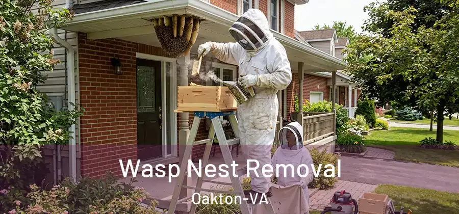  Wasp Nest Removal Oakton-VA